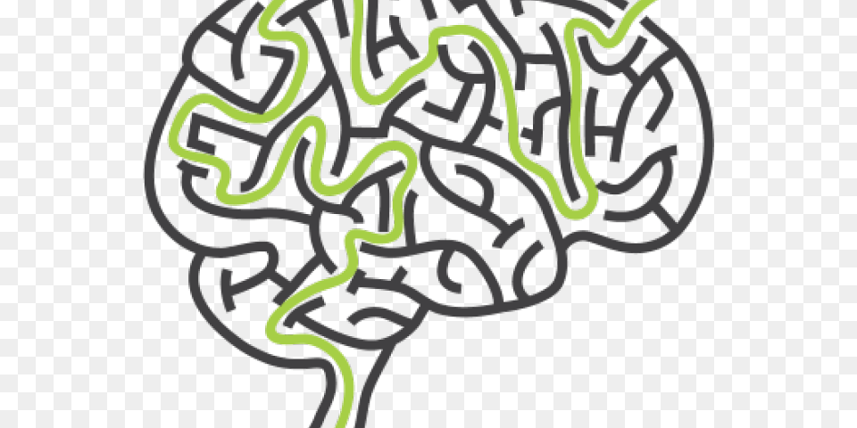 Maze Clipart Brain Maze Shaped Like A Brain, Animal, Nature, Outdoors, Reef Free Png