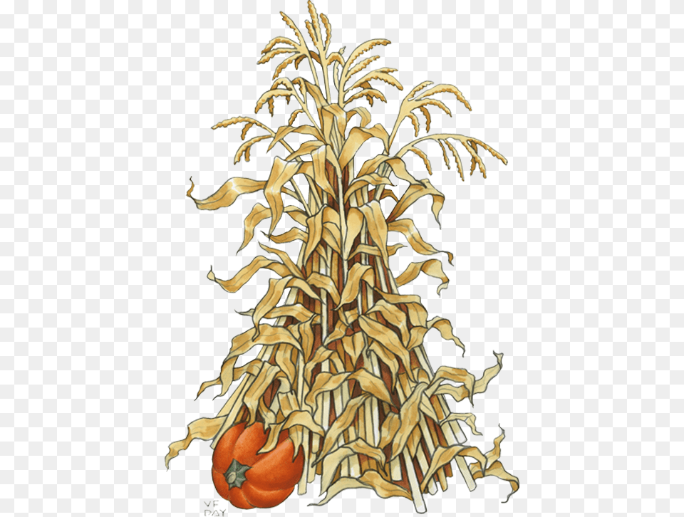 Maze Clipart Corn Stalk Fall Corn Stalk Clipart, Plant, Food, Produce Free Png