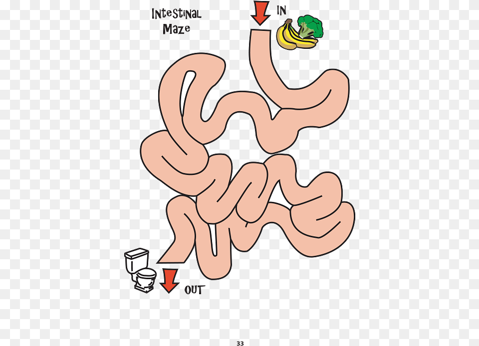 Maze Digestive System, Body Part, Hand, Person, Finger Free Png Download