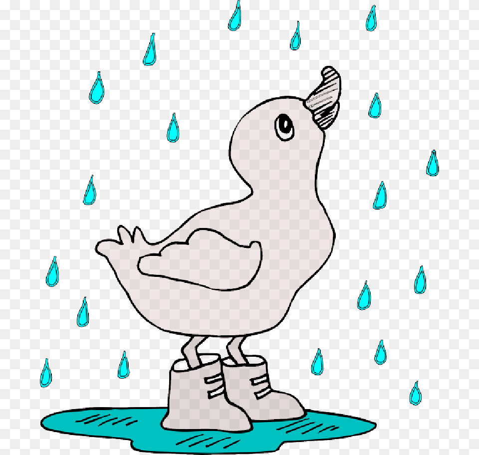 Mb Imagepng 3drose Cute Duckie In Rain Ceramic Mug 11 Ounce, Animal, Beak, Bird, Clothing Free Transparent Png
