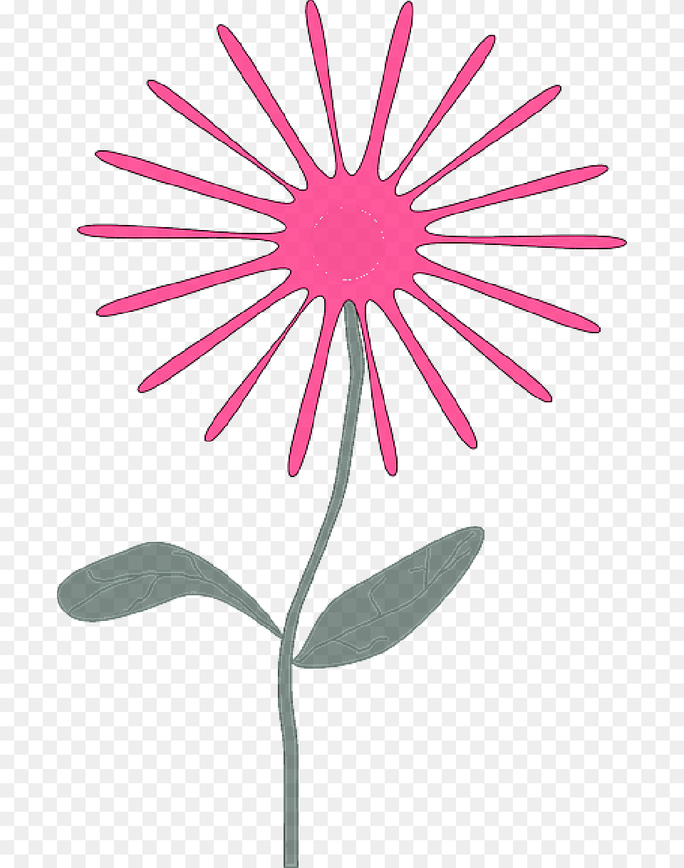 Mb Imagepng April Flowers Clipart, Daisy, Flower, Petal, Plant Free Png Download