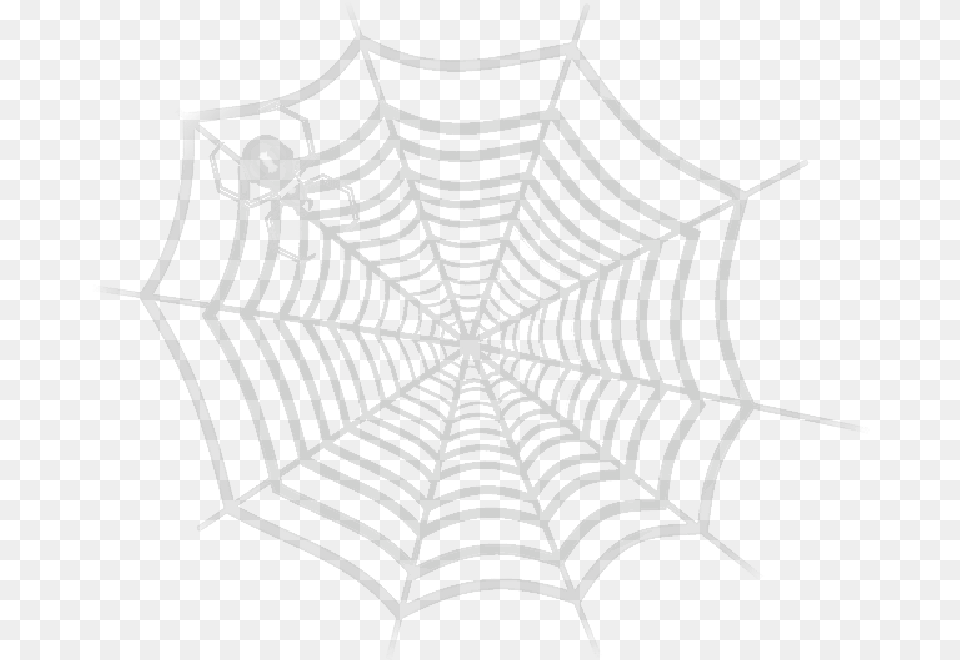 Mb Imagepng Netz Der Spinnen Postkarte, Spider Web Free Transparent Png
