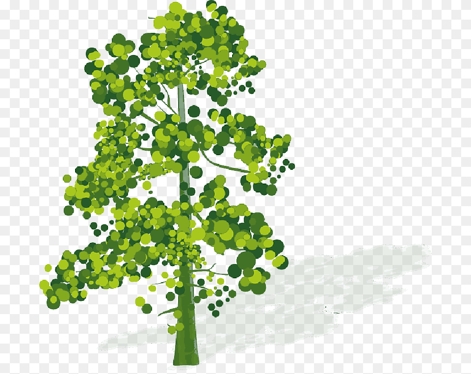 Mb Imagepng Oxygen Carbon Dioxide Cycle Blank, Green, Oak, Plant, Sycamore Free Png Download