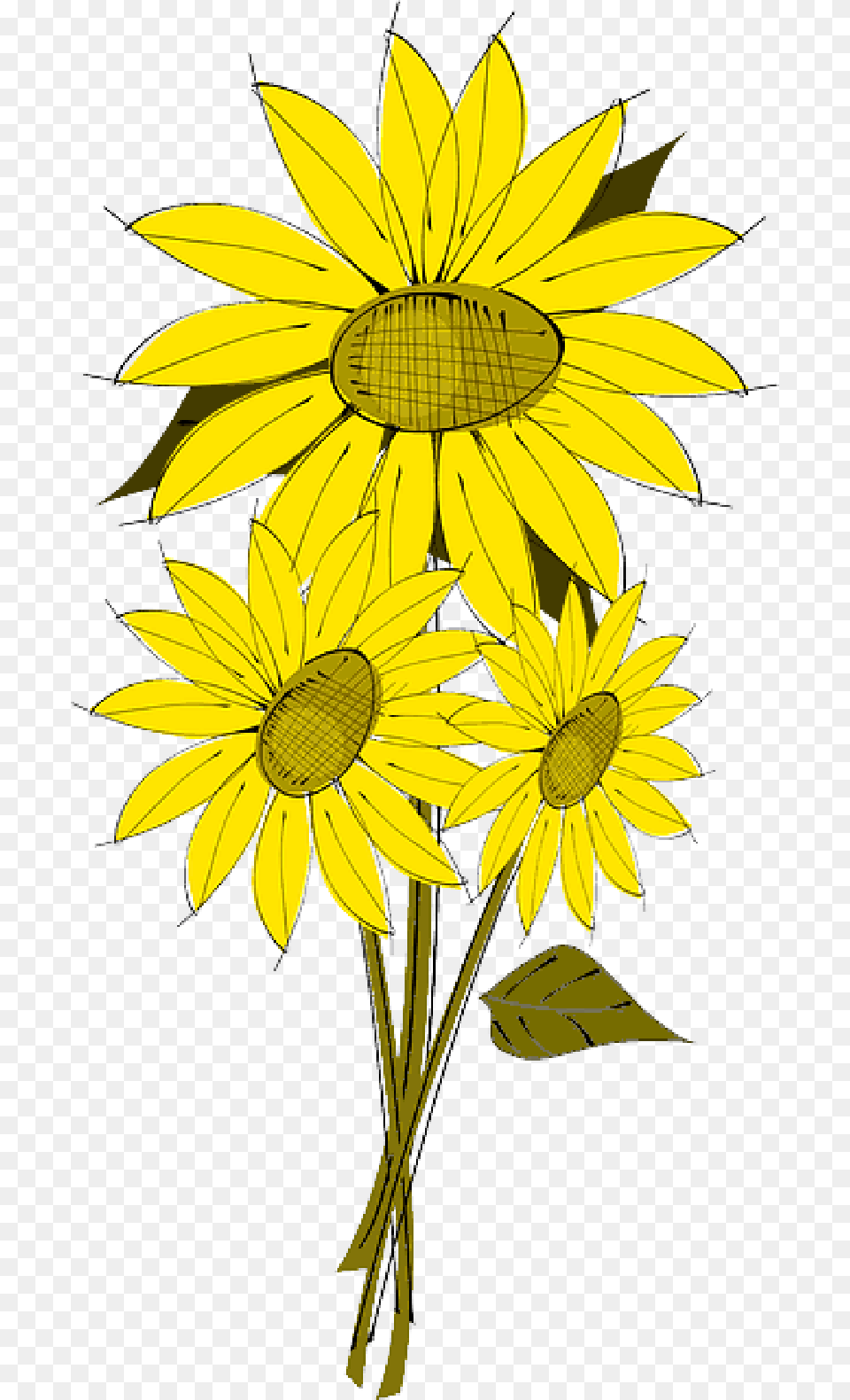 Mb Imagepng Sunflower Flowers Clip Art, Daisy, Flower, Plant Free Transparent Png