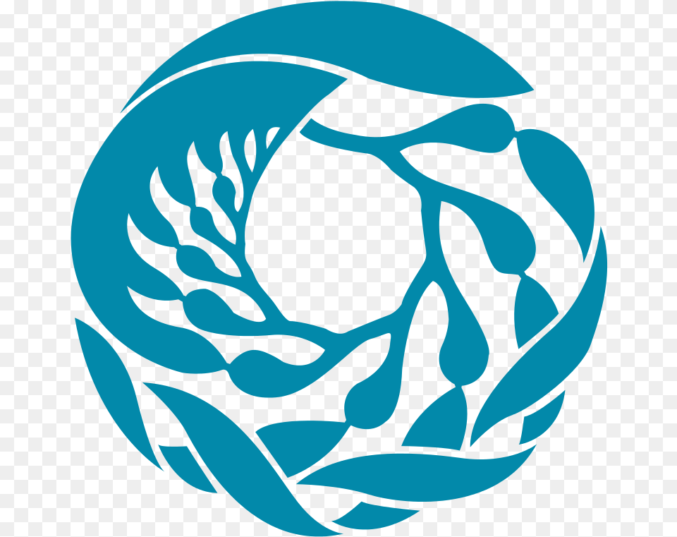 Mba Logo The Giant Sea Kelp In Its Growth Cyclea Foot Monterey Bay Aquarium Logo, Turquoise, Baby, Person, Sphere Free Png