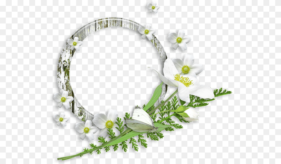 Mcara Moldura Redonda E Flores Para Fazer Montag Moldura Redonda Com Flor Em, Flower, Flower Arrangement, Plant, Accessories Free Png Download