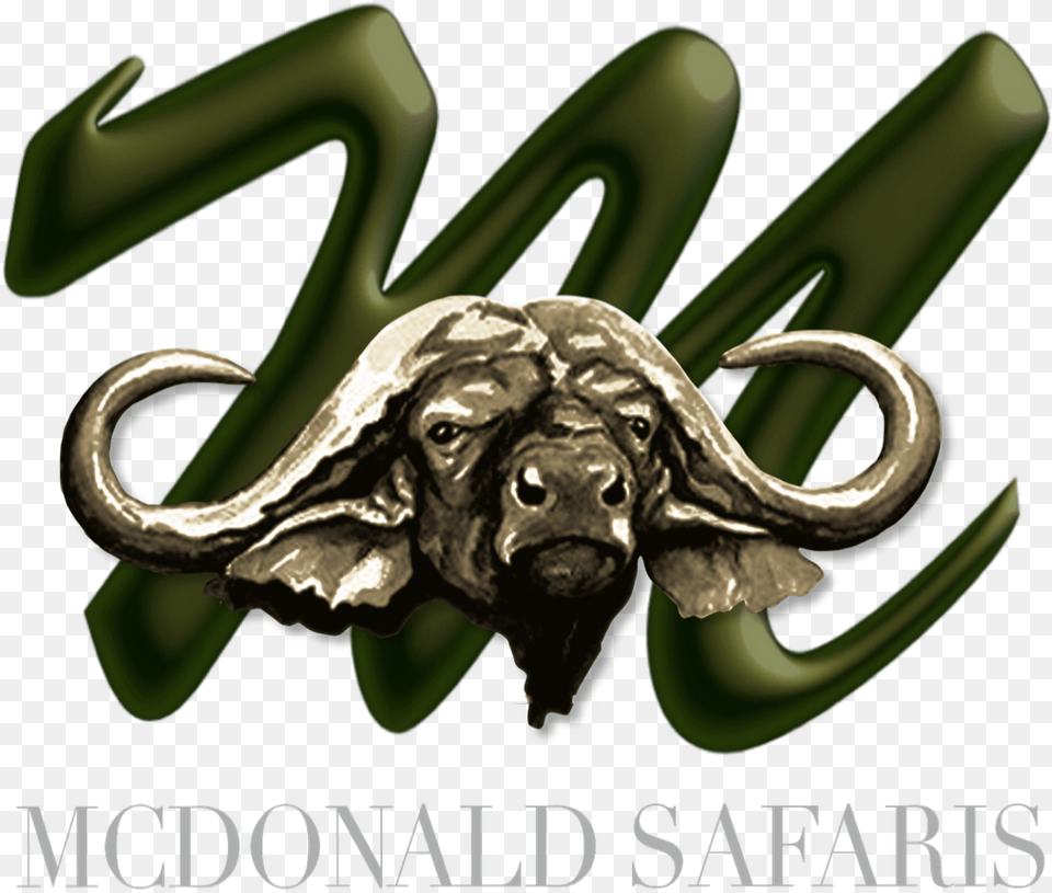 Mcdonald Hunting Safaris Horn, Animal, Buffalo, Mammal, Wildlife Png Image