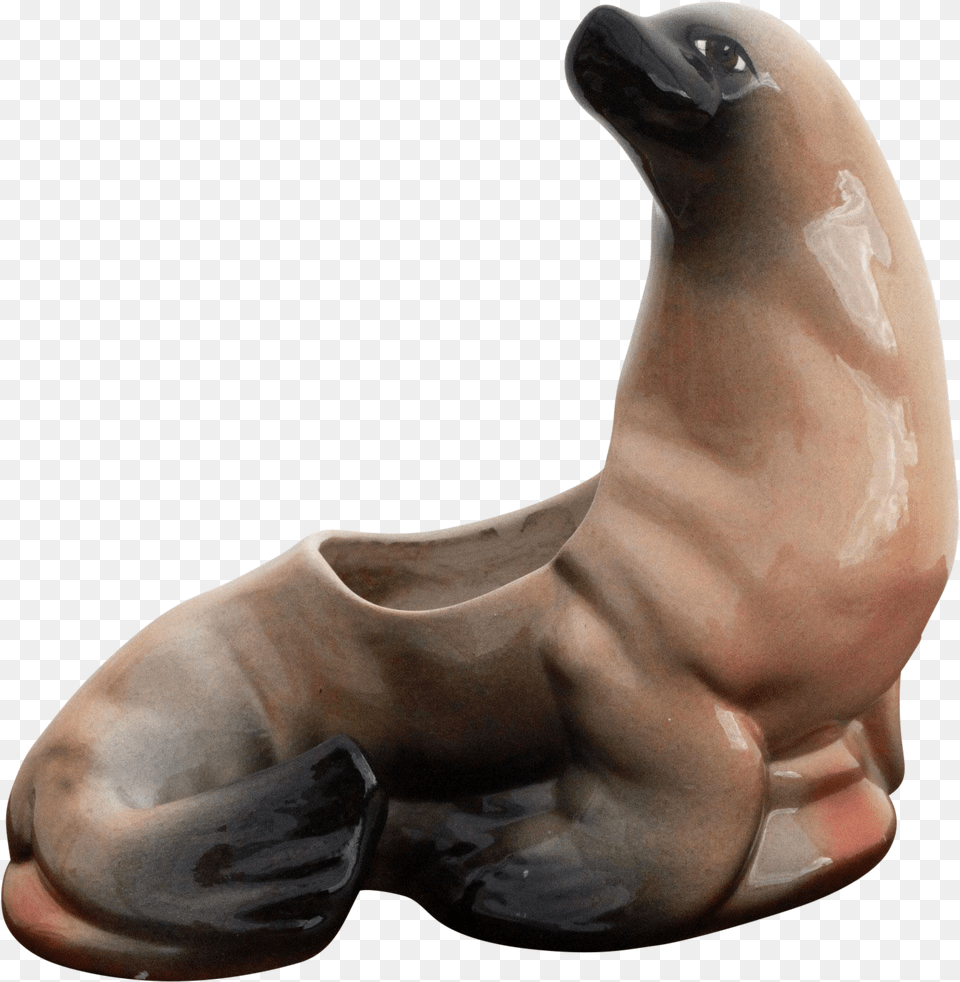 Mcentury American Art Pottery Seal Indoor Planter California Sea Lion, Animal, Mammal, Sea Life, Sea Lion Png