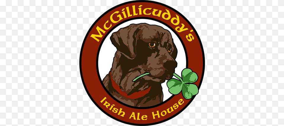 Mcgillicuddys Irish Ale House Irish Pub Williston Vt, Animal, Canine, Mammal, Lion Free Transparent Png