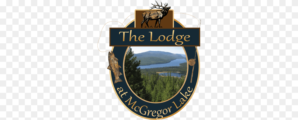 Mcgregor Lake, Tree, Plant, Animal, Wildlife Png