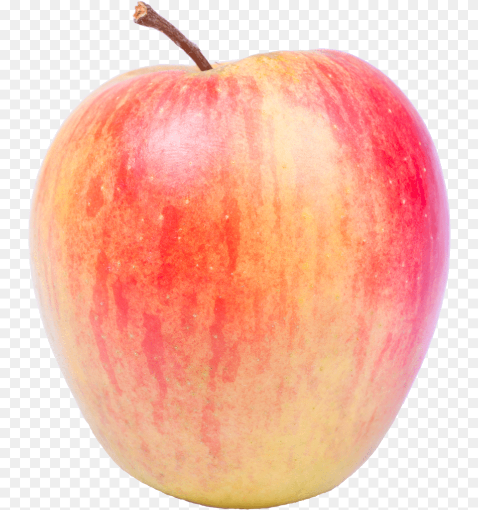 Mcintosh, Apple, Food, Fruit, Plant Png