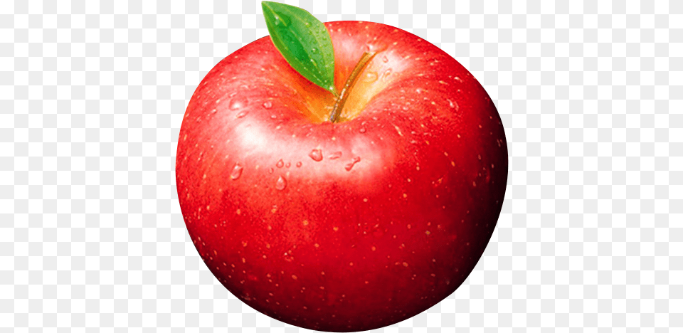 Mcintosh Apple Pie Fruit Fresh Apples Download 678 Mcintosh Apple, Food, Plant, Produce Png Image