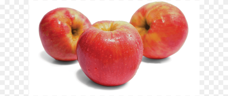 Mcintosh Honeycrisp Apple Gala Honey Crisp Apples, Food, Fruit, Plant, Produce Png Image