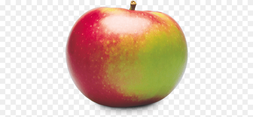 Mcintosh Macintosh Apple Fruit, Food, Plant, Produce Free Png Download