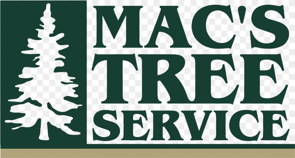 Mclaren Regional Medical Center, Plant, Tree, Pine, Fir Png Image