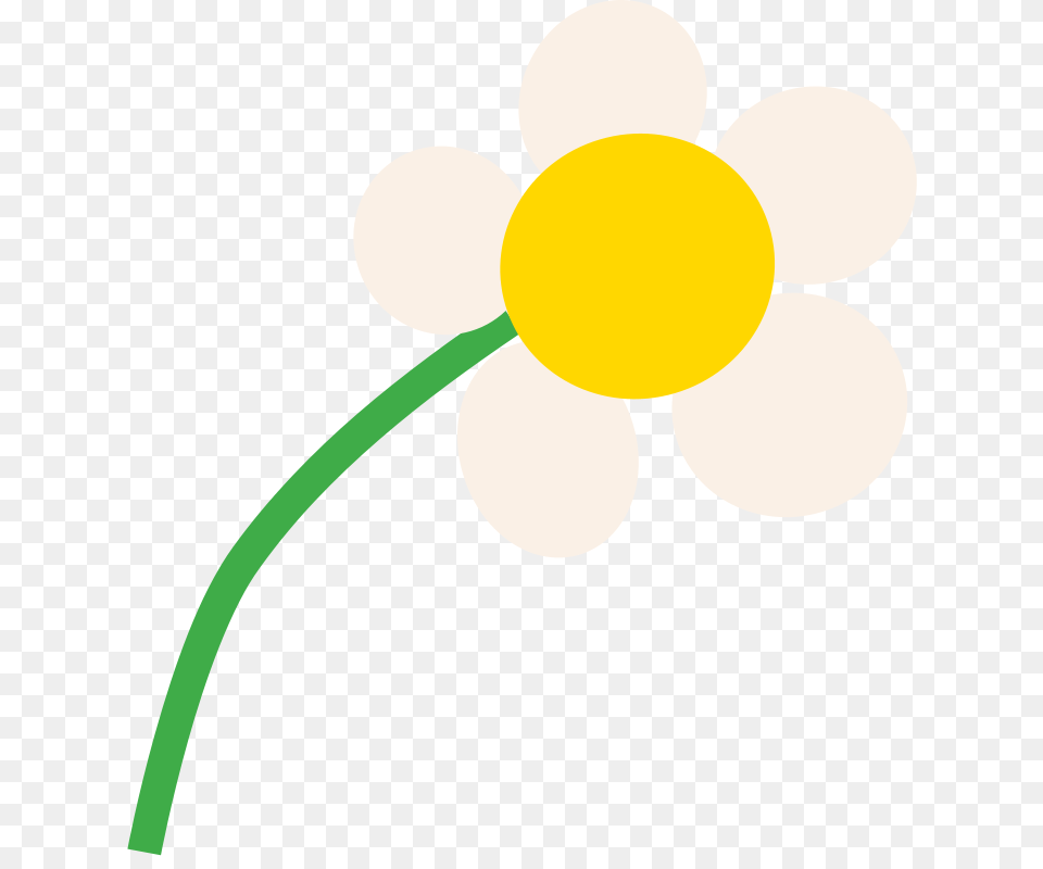 Mcol Daisy, Anemone, Flower, Plant, Daffodil Free Transparent Png