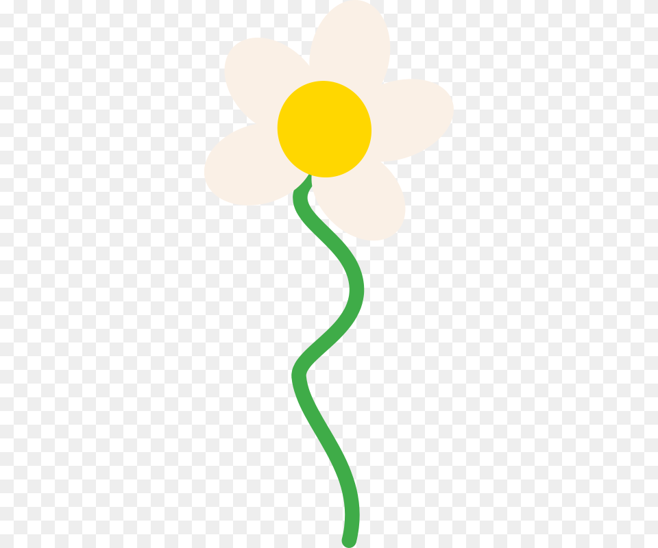 Mcol Flower, Anemone, Daffodil, Daisy, Plant Png Image