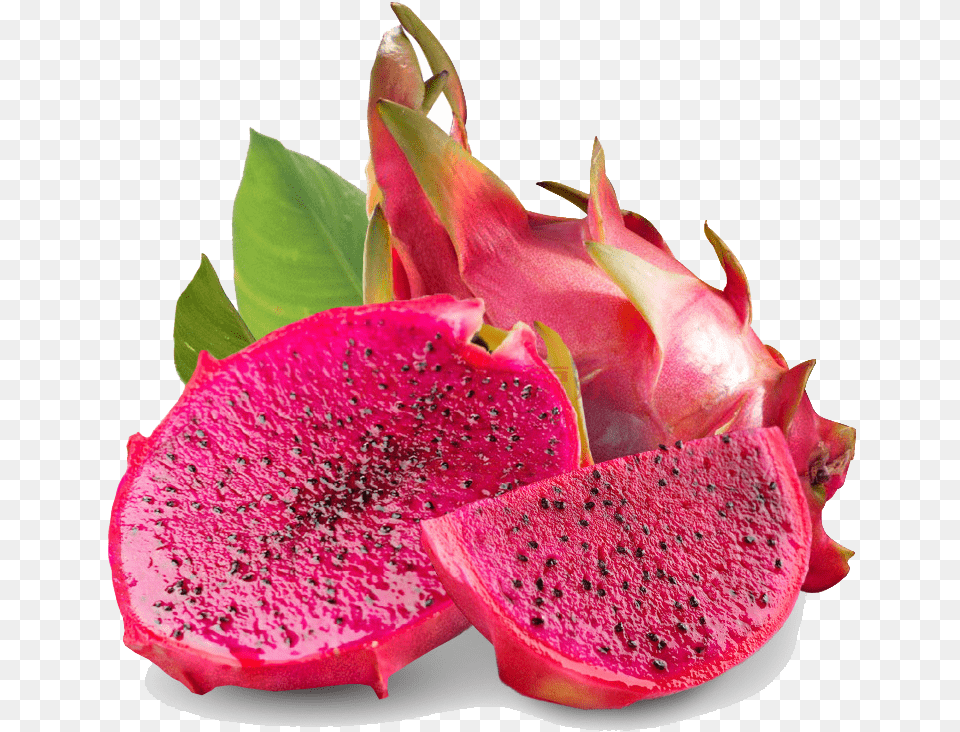 Mcp On Dragon Fruit Transparent Dragon Fruit, Food, Plant, Produce Free Png