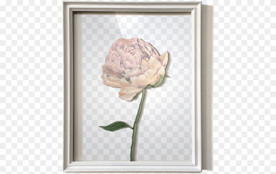 Mcrt Peonies, Art, Flower, Painting, Plant Png Image