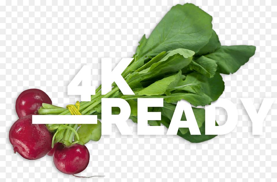 Mcuisine Fcpx Plugin Spinach, Food, Produce, Plant, Radish Free Transparent Png