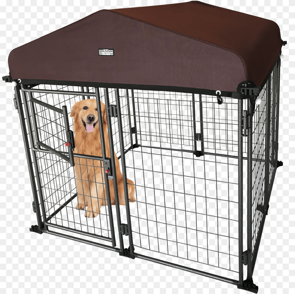 Md With Dog, Den, Indoors, Animal, Canine Free Png