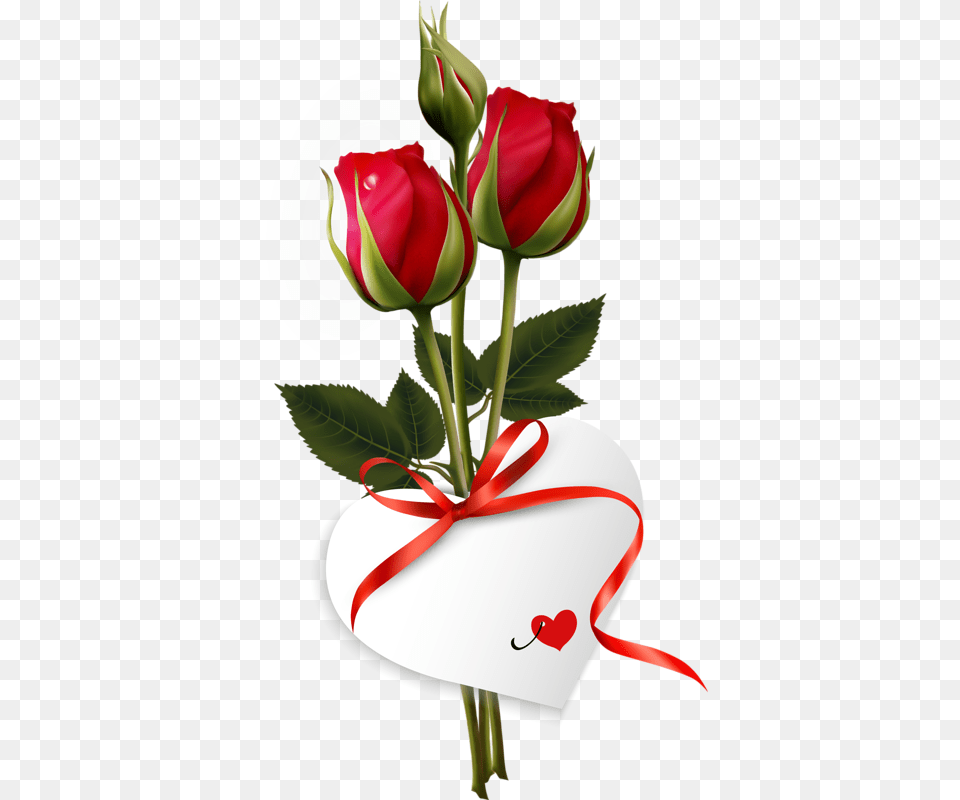 Me Gusta Xa Un Regalo Good Morning With Rose, Flower, Plant, Chandelier, Lamp Free Transparent Png