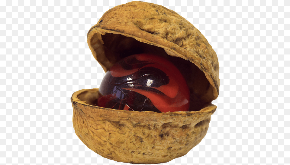 Me In A Nutshell, Food, Nut, Plant, Produce Png Image