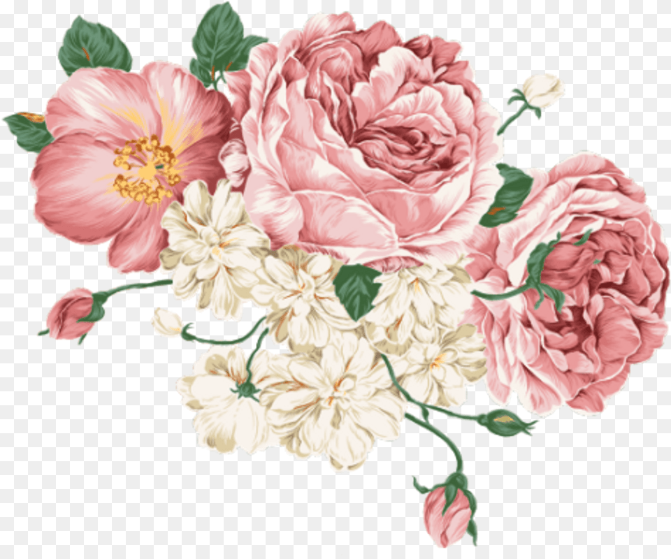 Me Time Aesthetics Home Peony Flower Vector, Plant, Carnation, Pattern, Rose Free Png