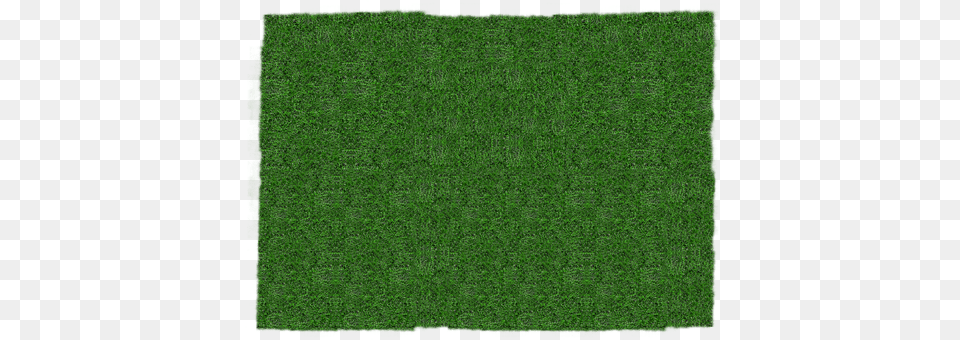 Meadow Grass, Lawn, Plant, Texture Png Image