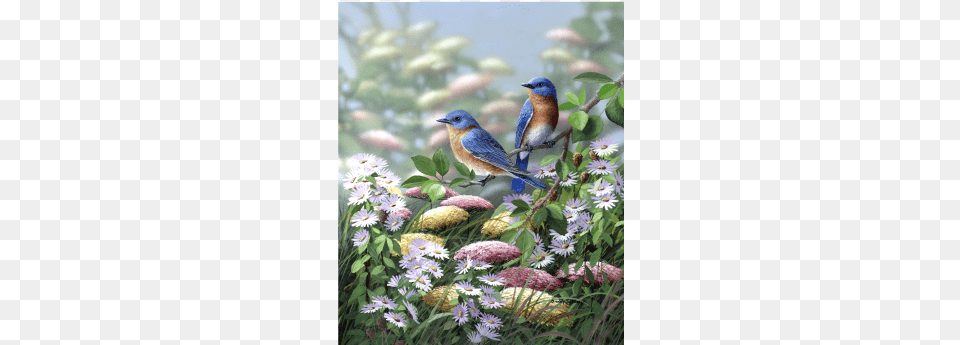 Meadow Bluebirds Bits And Pieces Meadow Blue 300 Large Piece Round Jigsaw, Animal, Bird, Bluebird, Jay Png