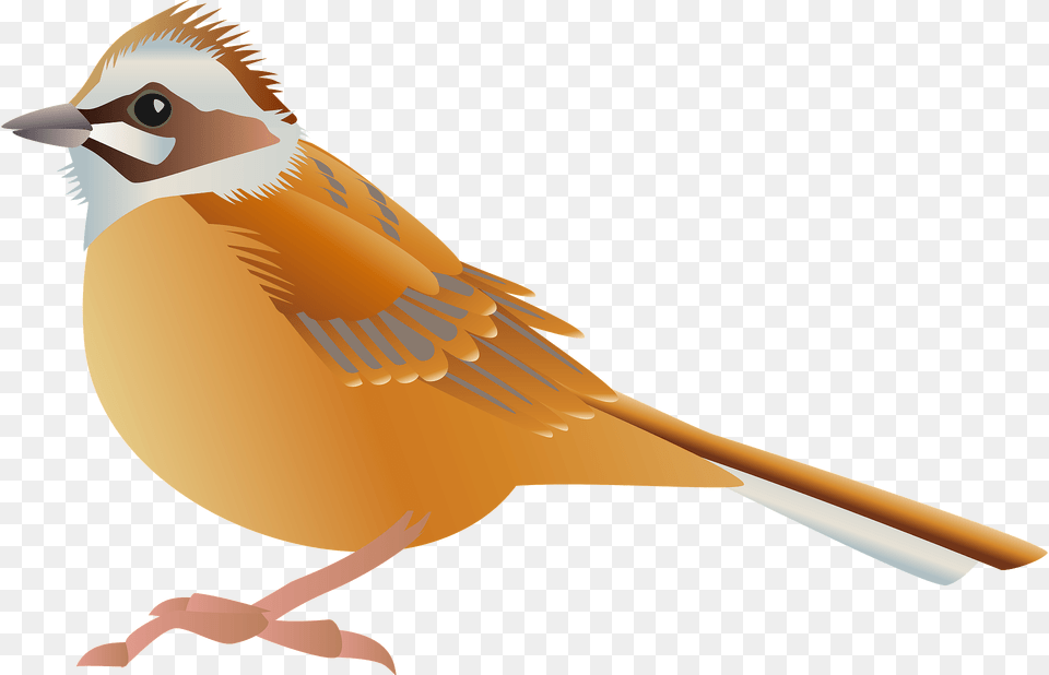 Meadow Bunting Bird Clipart, Animal, Finch, Jay, Fish Free Png Download