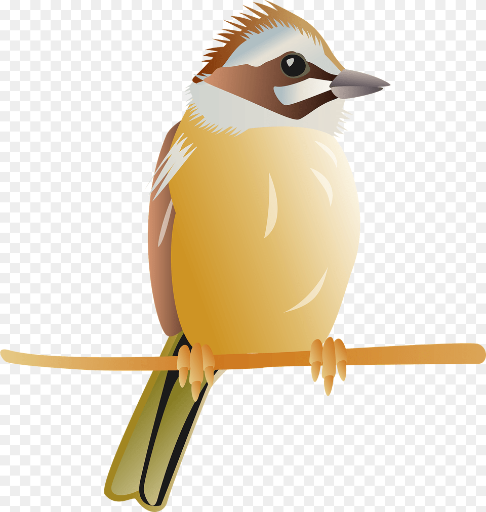 Meadow Bunting Bird Clipart, Animal, Finch, Jay, Sparrow Png