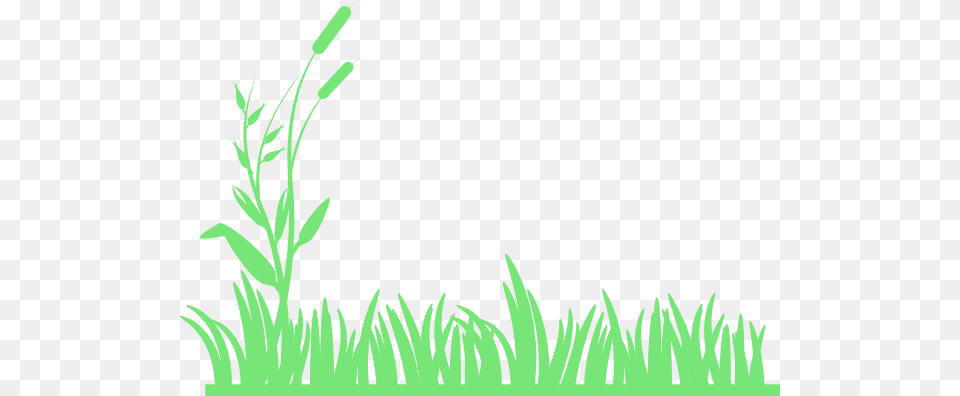 Meadow Clipart, Grass, Green, Herbal, Herbs Free Png