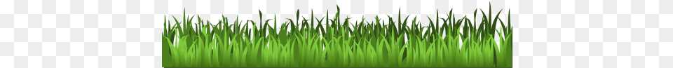 Meadow Green Isolated Stock Transparent Background Grass Clipart, Lawn, Plant, Vegetation Free Png