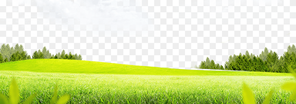 Meadow High Quality Image Meadow Transparent Background, Lawn, Outdoors, Landscape, Plant Free Png Download