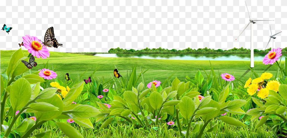 Meadow Lawn Wallpaper Lake Nature Background Hd, Outdoors, Grassland, Grass, Plant Free Transparent Png