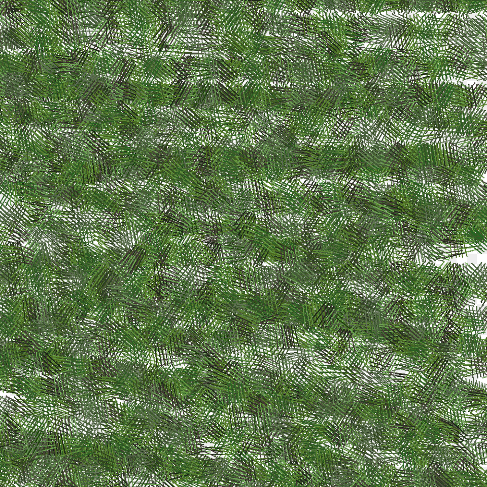 Meadow Texture, Grass, Green, Plant, Vegetation Free Png Download
