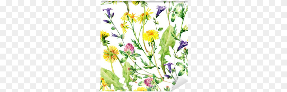 Meadow Watercolor Wild Flowers Seamless Pattern Wall Watercolor Painting, Daisy, Flower, Herbal, Herbs Png