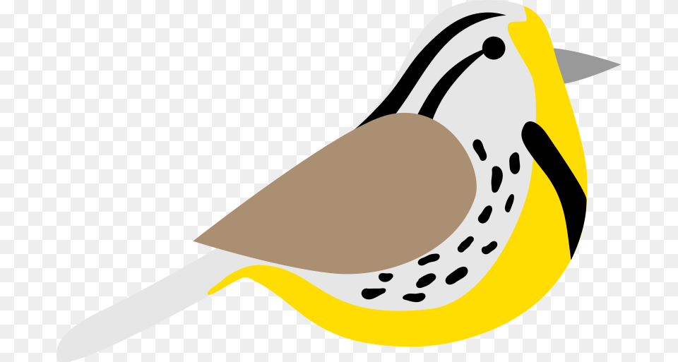 Meadowlark, Animal, Beak, Bird, Finch Free Transparent Png