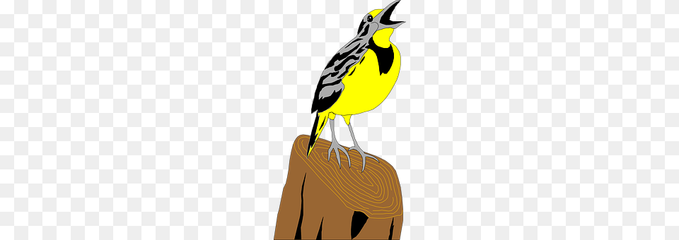 Meadowlark Adult, Female, Person, Woman Png Image