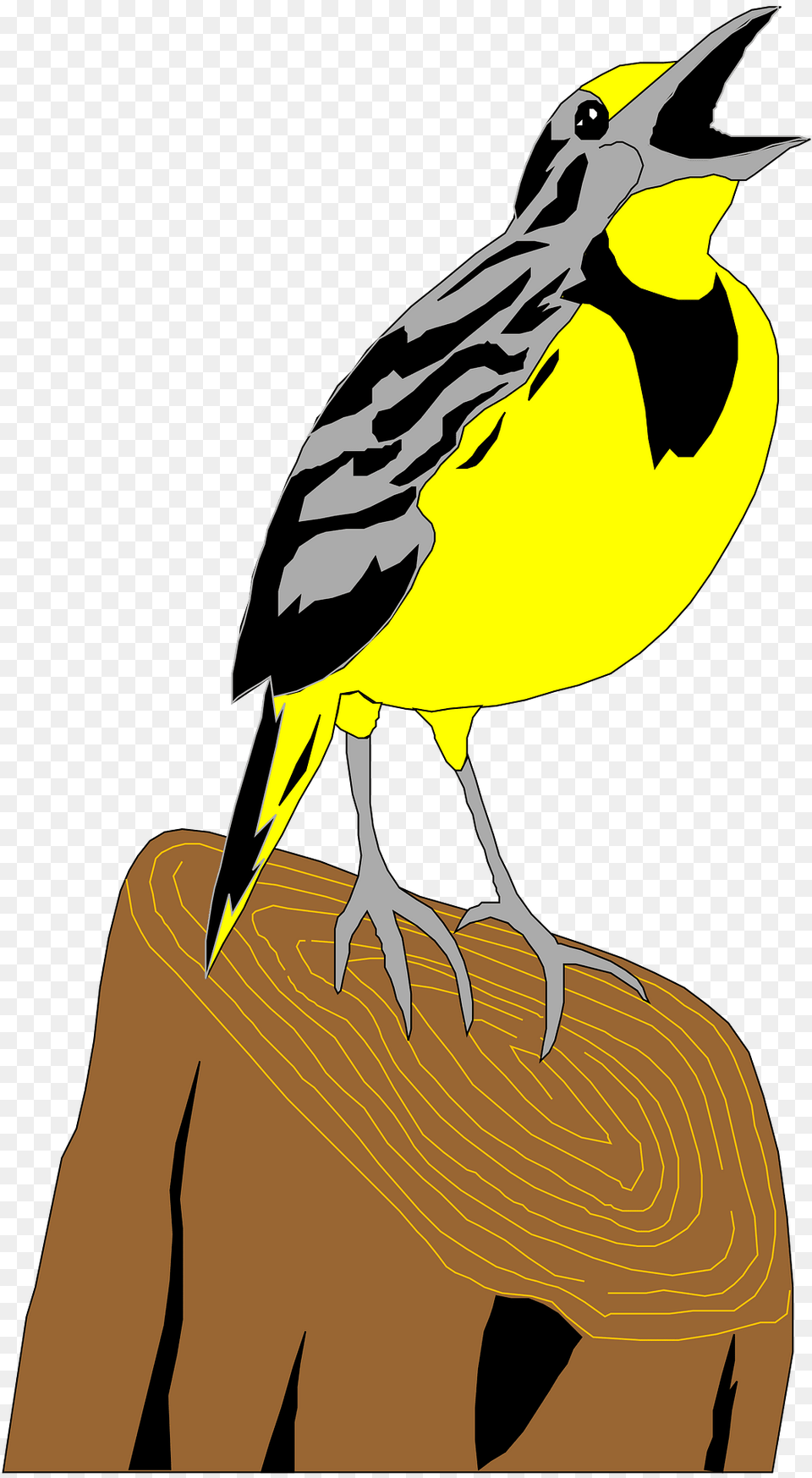 Meadowlark Clipart, Animal, Beak, Bird, Person Free Png