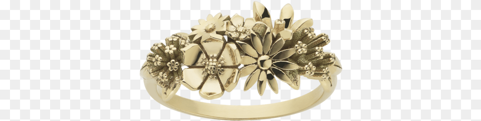 Meadowlark Overgrown Ring, Accessories, Jewelry, Bracelet, Chandelier Png Image