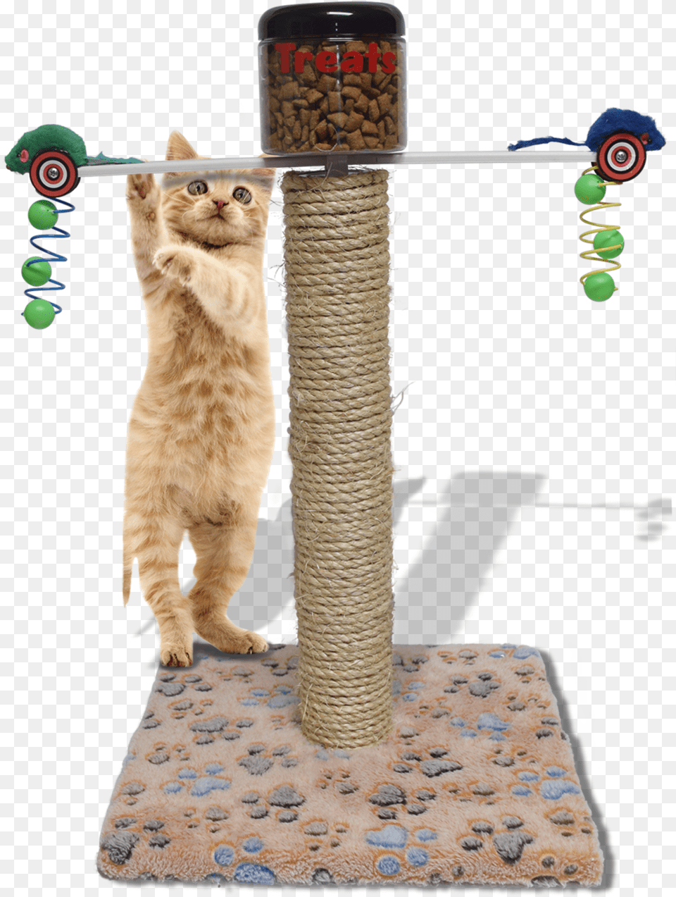 Meal Dispensing Cat Toy Exercise Food Center Fights Design With Vinyl Exercise Toy Cat Tree Ractive Activity, Animal, Mammal, Pet, Bird Feeder Free Png Download