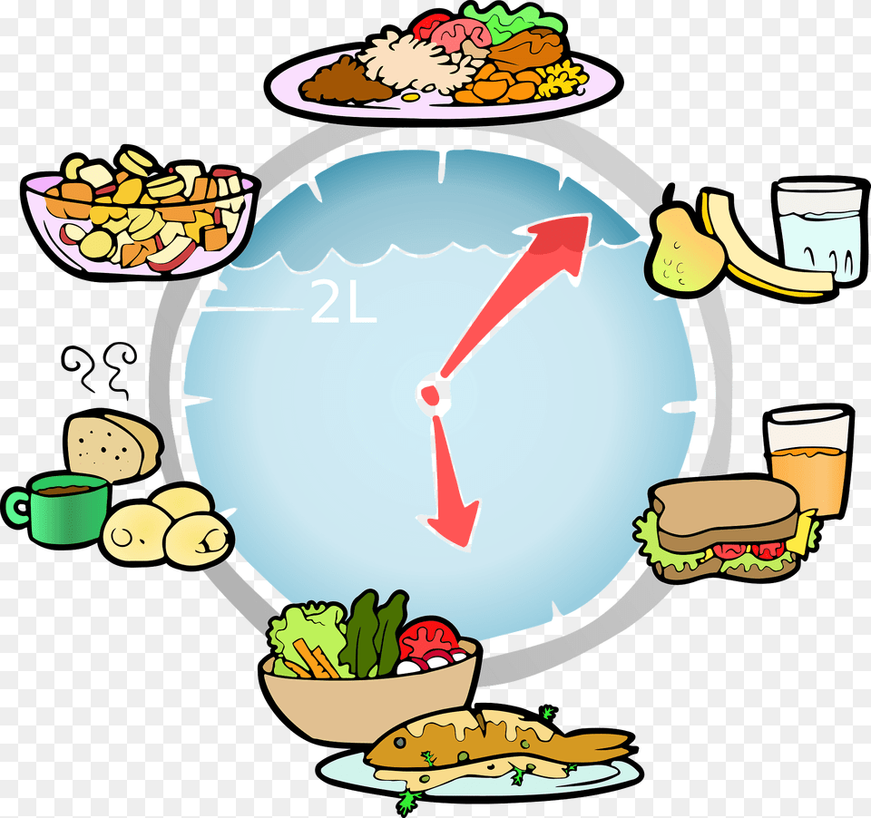 Meal Schedule With Pictures Clipart, Food, Lunch, Burger, Baby Free Png Download
