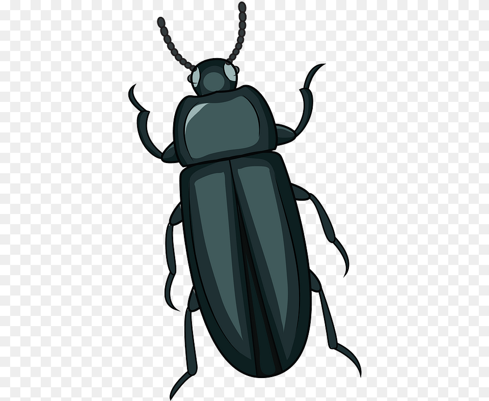 Mealworm Beetle Clipart Beetle Clipart, Animal, E-scooter, Transportation, Vehicle Free Png Download