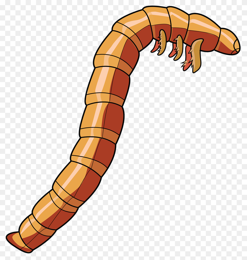 Mealworm Beetle Larva Clipart, Animal, Invertebrate, Worm, Dynamite Png Image