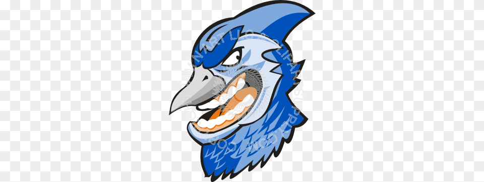Mean Blue Jay, Animal, Bird, Blue Jay, Bluebird Png
