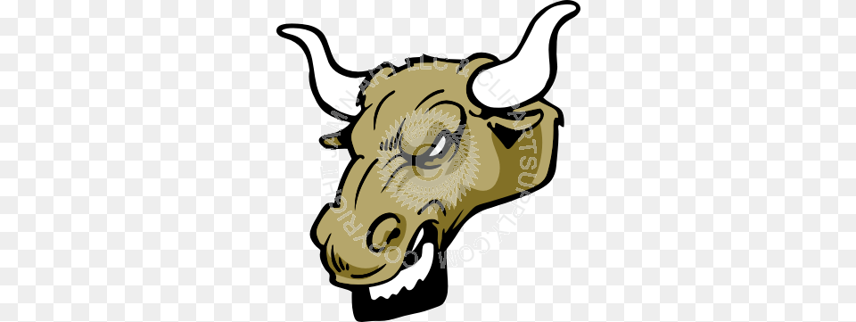 Mean Bull Head, Animal, Mammal, Buffalo, Wildlife Png Image