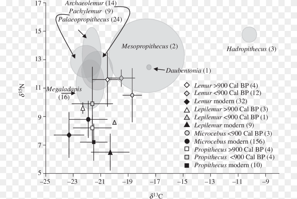 Mean D 13 C And D 15 N Values For All Ste Extinct Lemur Diagram Free Png Download