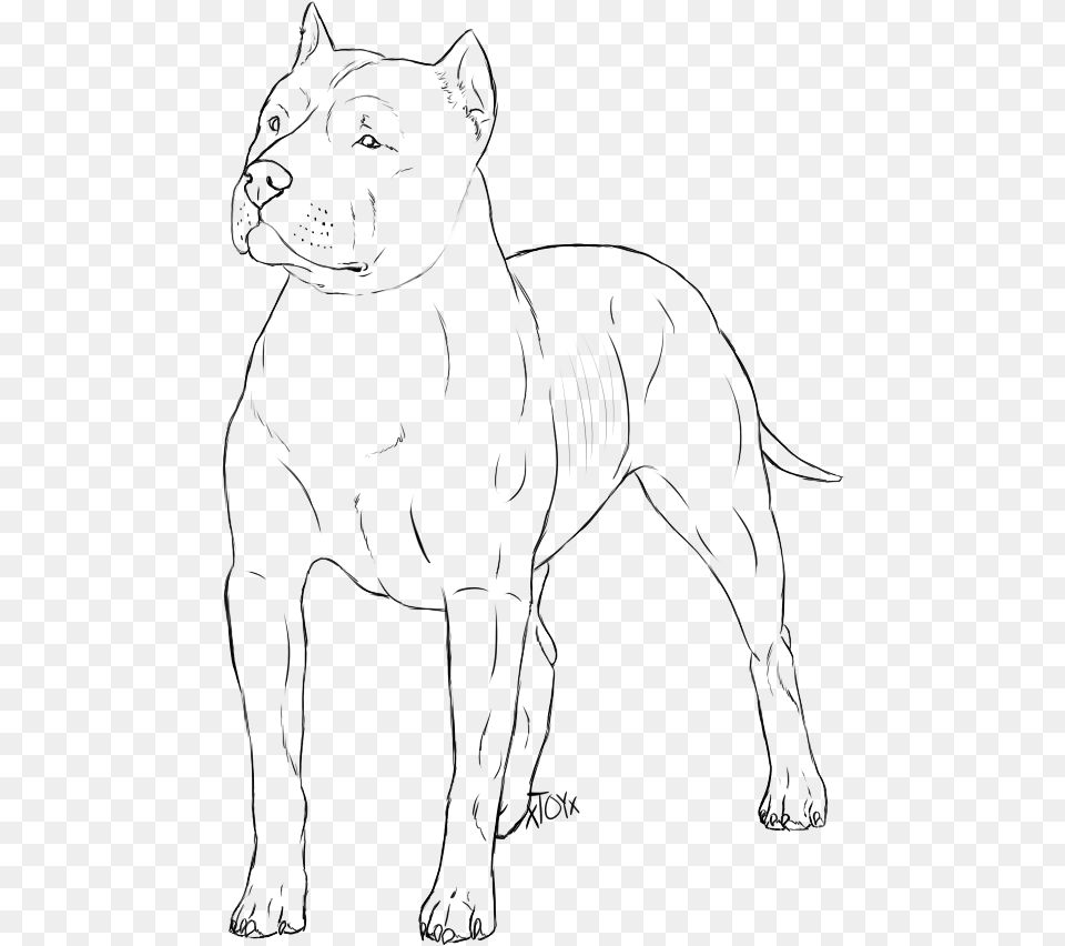 Mean Dog Drawing Crazywidow Info Pit Bull, Gray Free Png Download